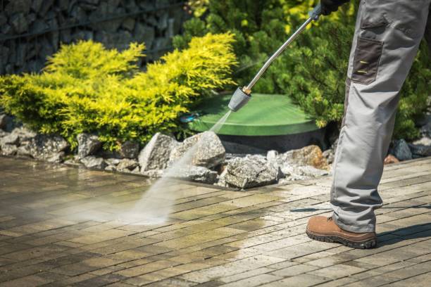 Best Roof Washing  in Atwood, TN